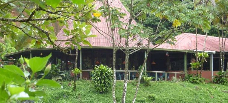 Hotel Lucky Bug B &Amp; B Arenal - Alajuela : Photo 