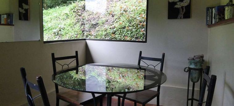 Hotel Lucky Bug B &Amp; B Arenal - Alajuela : Photo 