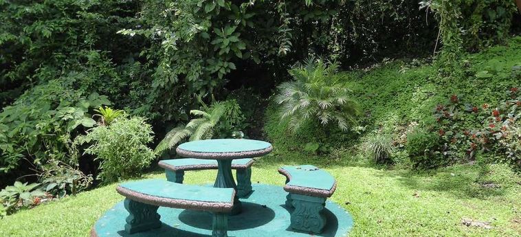 Hotel Lucky Bug B &Amp; B Arenal - Alajuela : Photo 