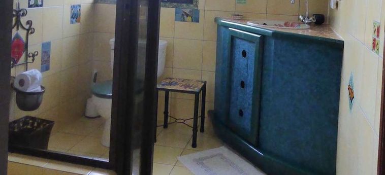 Hotel Lucky Bug B &Amp; B Arenal - Alajuela: Foto 