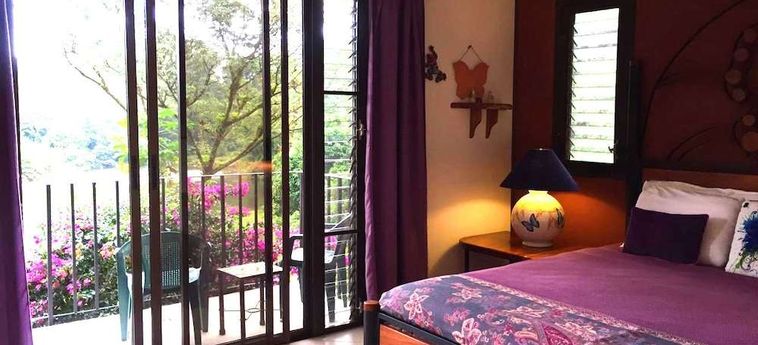 Hotel Lucky Bug B &Amp; B Arenal - Alajuela: Foto 
