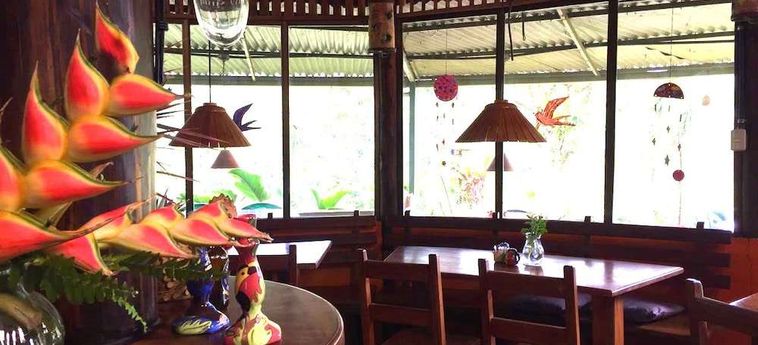 Hotel Lucky Bug B &Amp; B Arenal - Alajuela: Foto 