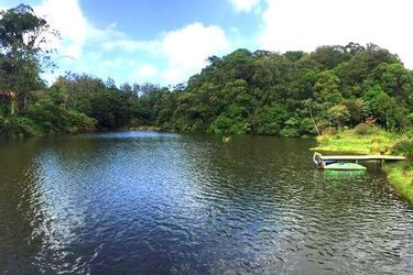Hotel Lucky Bug B &Amp; B Arenal - Alajuela: Photo 