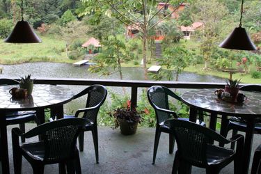 Hotel Lucky Bug B &Amp; B Arenal - Alajuela: Photo 