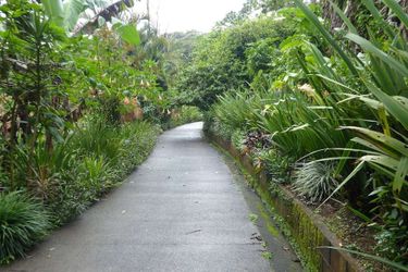 Hotel Lucky Bug B &Amp; B Arenal - Alajuela: Photo 