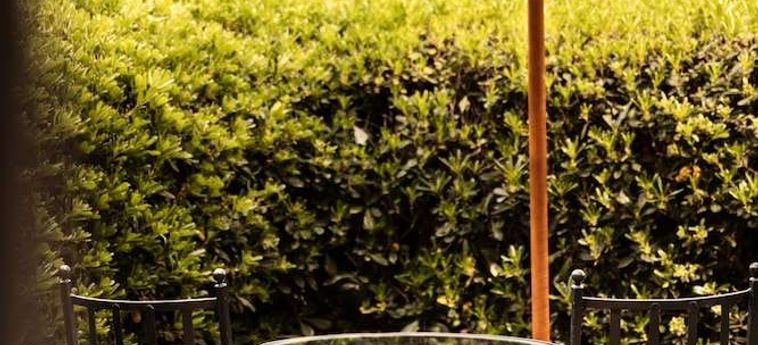 Hotel Il Pellicano Argentario - Grosseto : Photo 