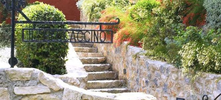 Hotel Il Pellicano Argentario - Grosseto: Foto 