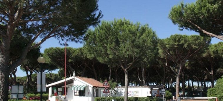 Hotel Camping Village Marina Chiara Argentario - Grosseto: Foto 