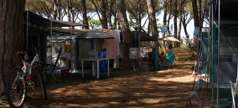 Hotel Camping Village Marina Chiara Argentario - Grosseto: Foto 