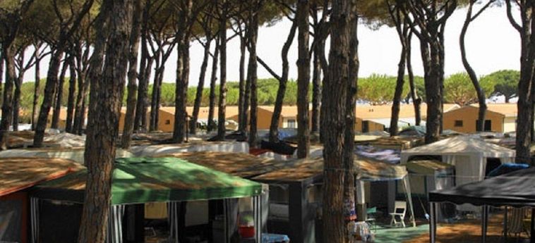 Hotel Camping Village Marina Chiara Argentario - Grosseto: Photo 
