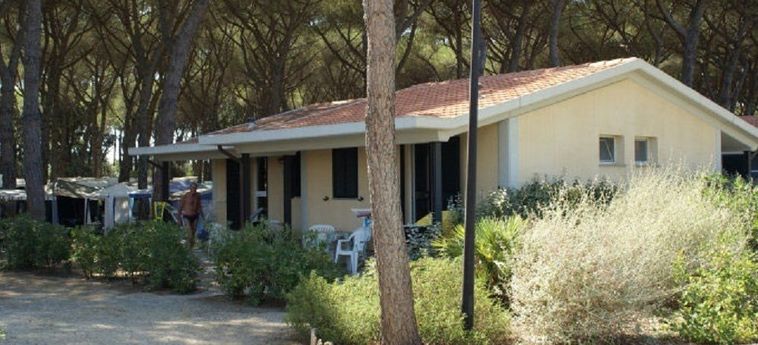 Hotel Camping Village Marina Chiara Argentario - Grosseto: Photo 