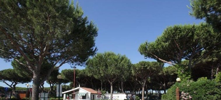 Hotel Camping Village Marina Chiara Argentario - Grosseto: Photo 