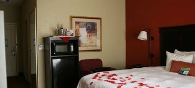 Hotel Hampton Inn Arkadelphia:  ARKADELPHIA (AR)