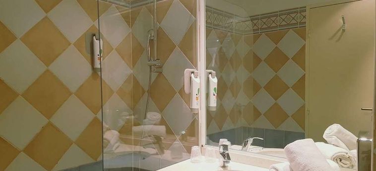 Hotel Ibis Styles Arles Palais Des Congrès Arles: Foto 