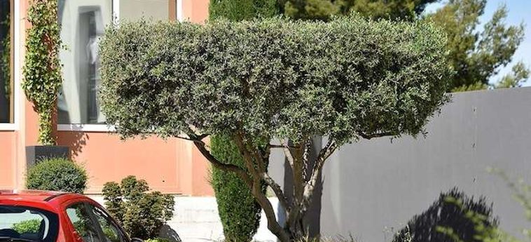 New Hotel Arles Camargue (Br) Arles: Foto 