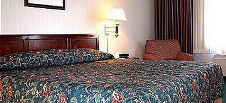 Hotel Holiday Inn Arlington At Ballston:  ARLINGTON (VA)