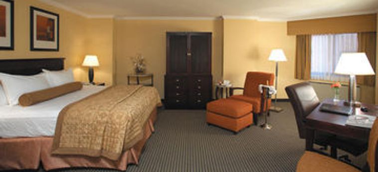 Hotel Hilton Arlington:  ARLINGTON (VA)