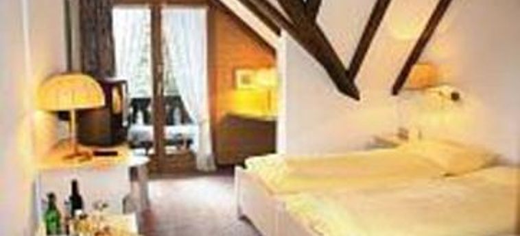 Hotel Alpina:  AROSA