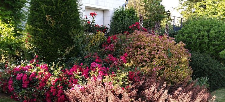 Bed And Breakfast La Solette Zen Arras: Foto 