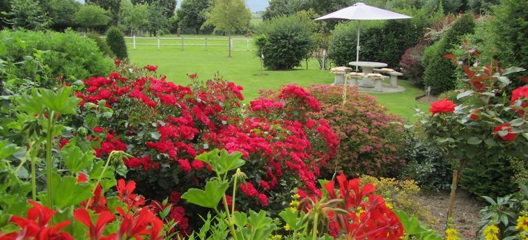 Bed And Breakfast La Solette Zen Arras: Foto 