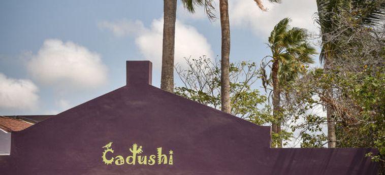 Cadushi Apartments:  ARUBA