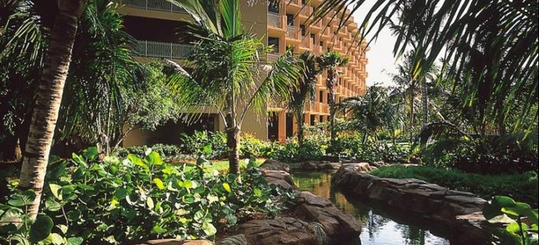Hotel Hilton Aruba Caribbean Resort & Casino:  ARUBA
