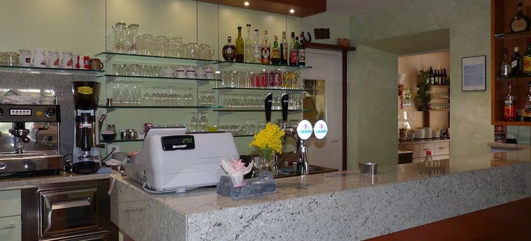 Hotel Osteria Ticino:  ASCONA