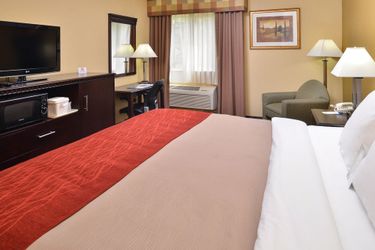 Hotel Comfort Inn Asheboro:  ASHEBORO (NC)