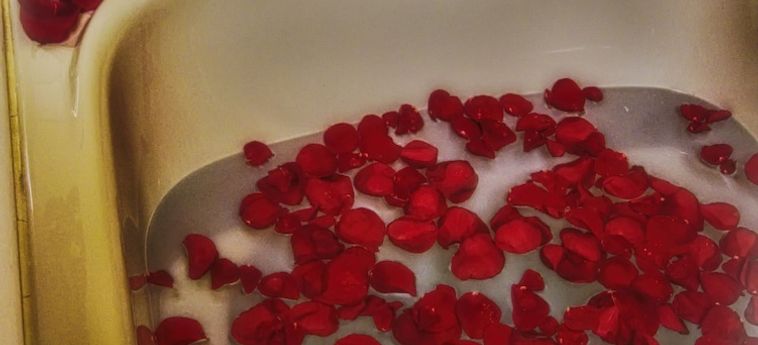 The Lion And The Rose Bed And Breakfast Asheville (Nc): Foto 