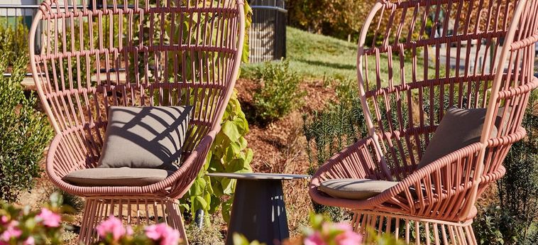 Hotel Zelda Dearest Asheville (Nc): Foto 