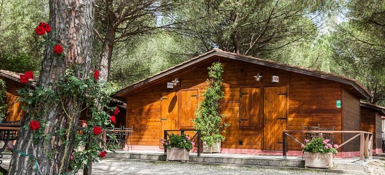 Green Village Assisi Camping & Hotel:  ASSISI - PERUGIA