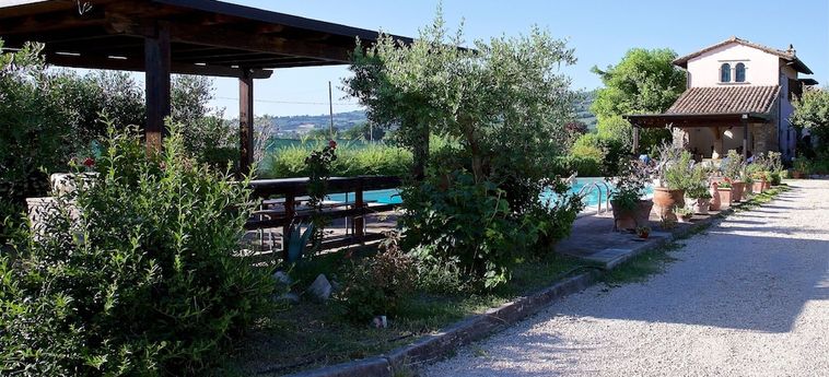 Hotel B&Amp;B With Pool And View Of Assisi Assisi - Perugia: Photo 