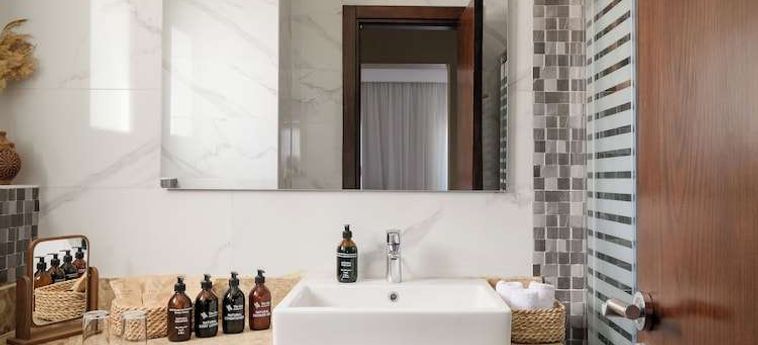 Hotel The Zen Wellness Resort Assuan: Foto 