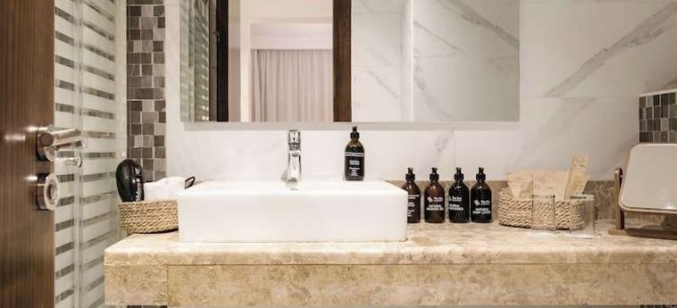 Hotel The Zen Wellness Resort Assuan: Foto 