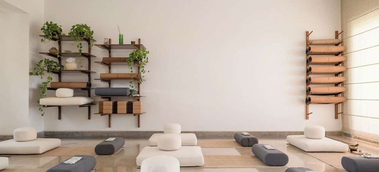 Hotel The Zen Wellness Resort Assuan: Foto 