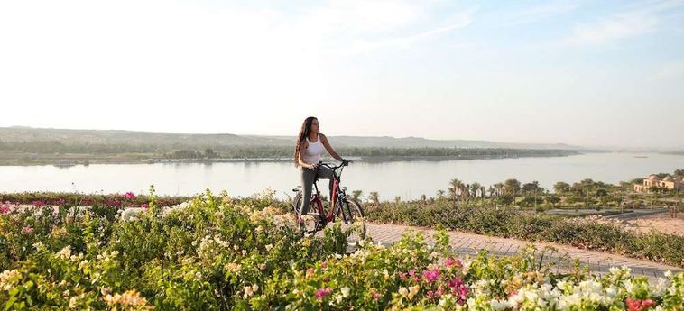 Hotel The Zen Wellness Resort Assuan: Foto 