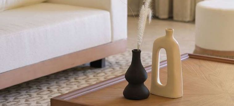 Hotel The Zen Wellness Resort Assuan: Foto 