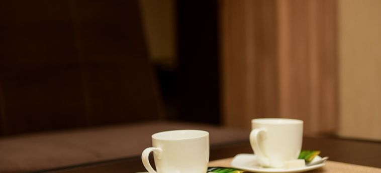 Alatau Hotel Astana: Foto 