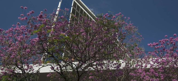 Hotel Guarani Esplendor Asuncion: Foto 