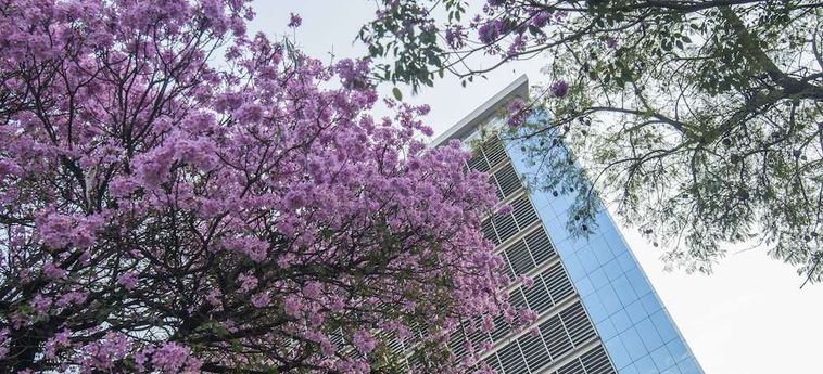 Hotel Guarani Esplendor Asuncion: Foto 