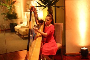 Hotel Guarani Esplendor Asuncion: Photo 