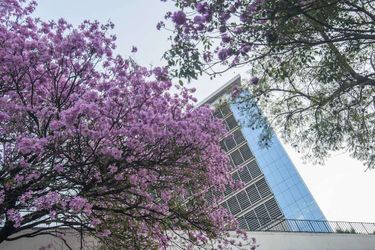 Hotel Guarani Esplendor Asuncion: Photo 