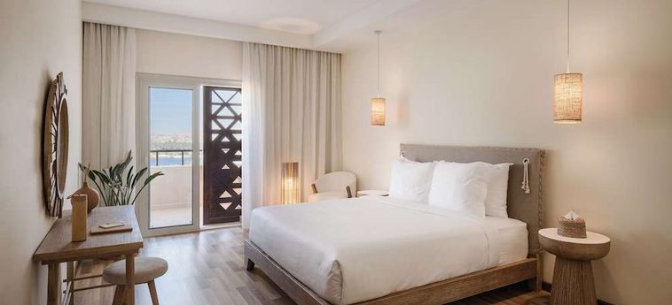 Hotel The Zen Wellness Resort Aswan : Photo 