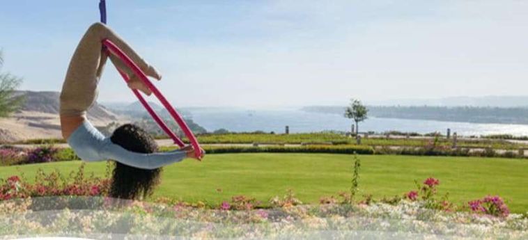 Hotel The Zen Wellness Resort Aswan : Photo 