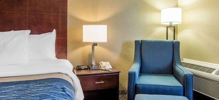 Hotel Comfort Inn Atlanta Downtown South Atlanta (Ga) : Photo 