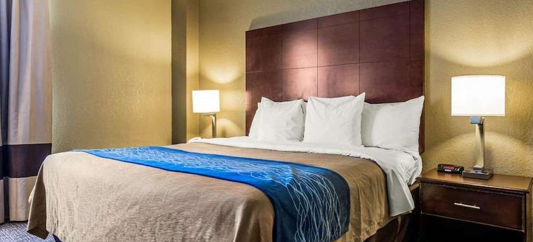 Hotel Comfort Inn Atlanta Downtown South Atlanta (Ga) : Photo 
