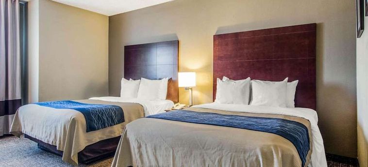 Hotel Comfort Inn Atlanta Downtown South Atlanta (Ga) : Photo 