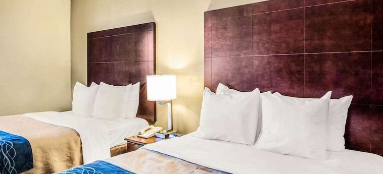 Hotel Comfort Inn Atlanta Downtown South Atlanta (Ga) : Photo 