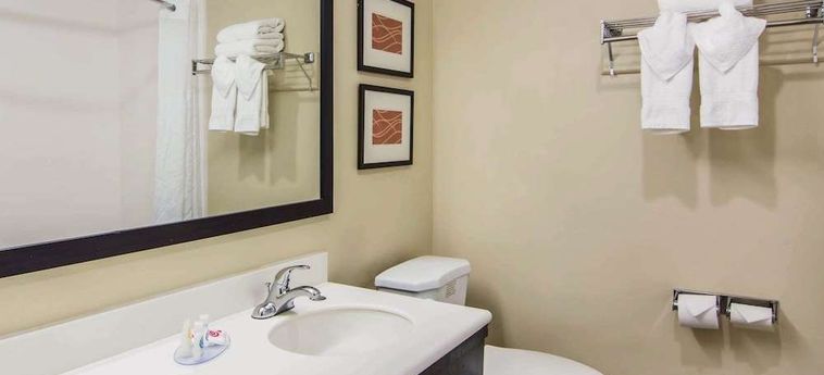 Hotel Comfort Inn Atlanta Downtown South Atlanta (Ga) : Photo 
