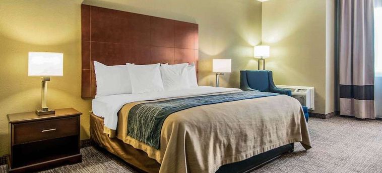 Hotel Comfort Inn Atlanta Downtown South Atlanta (Ga) : Photo 